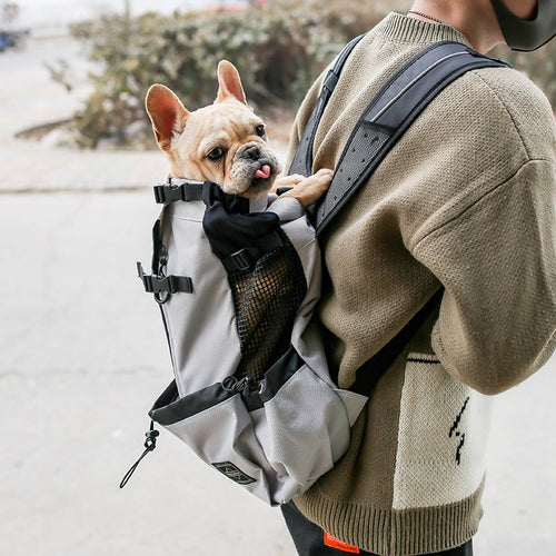 Airline-Approved Expandable Travel Carrier for Stress-Free Trips