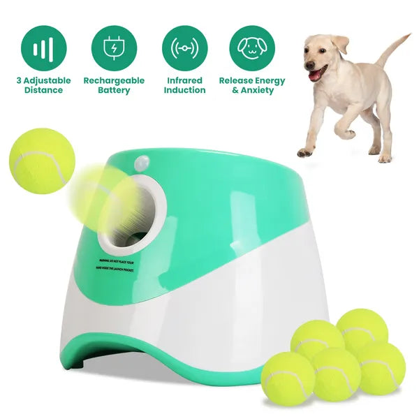 Automatic Fetch Ball Launcher - Guilt-Free Play for Small Dogs