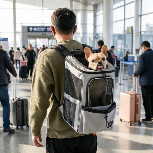 Traveling with a dog in the expandable pet carrier backpack