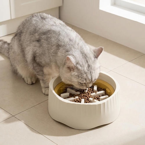 A cat eating from the 2-in-1 slow feeder maze bowl